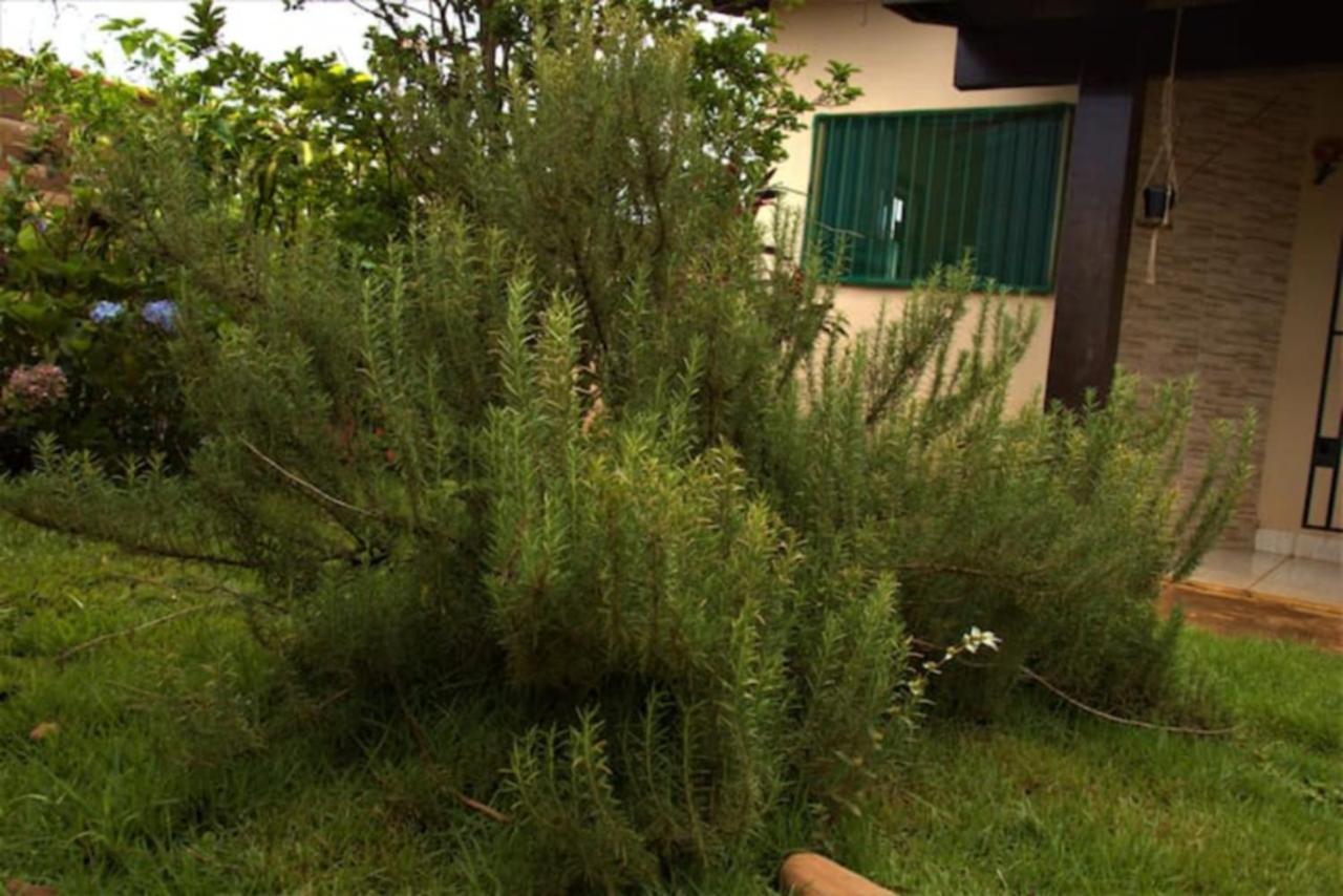 שאפאדה דוס גימאראייס Casa Com Spa De Hidro, Aquecedor E Cromoterapia A 1,0 Km Do Centro מראה חיצוני תמונה